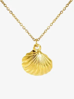 Seashell Pendant Necklace