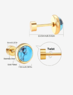 Turquoise Screwback Stud Earrings