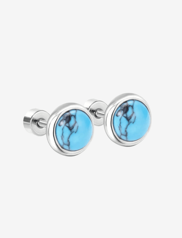 Turquoise Screwback Stud Earrings