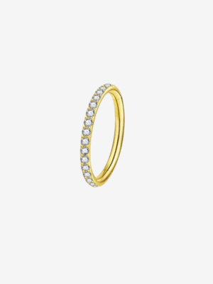 Zara Nose Ring & Earring