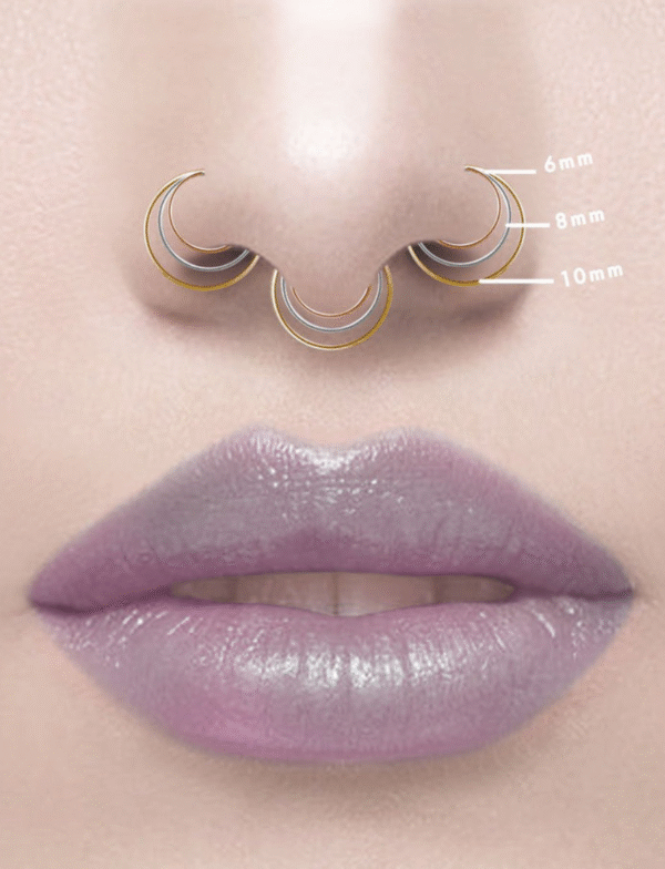 Zara Nose Ring & Earring