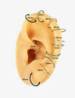 Zara Nose Ring & Earring